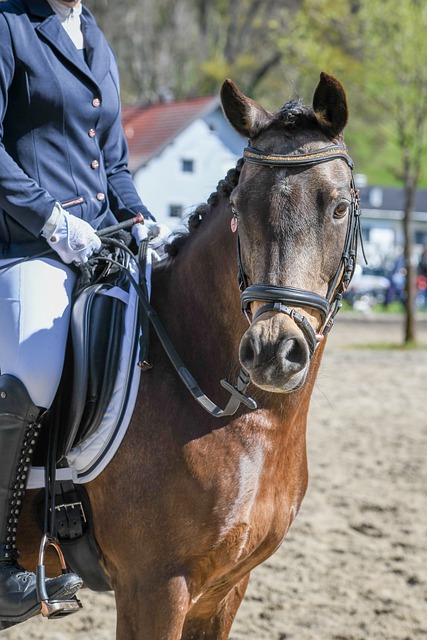 3月23日，湖人主场对决公牛，哪队更具胜算？.