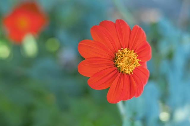 全英羽球超级1000赛｜前冠军对决挫李诗沣 石宇奇决战李佳豪争霸.